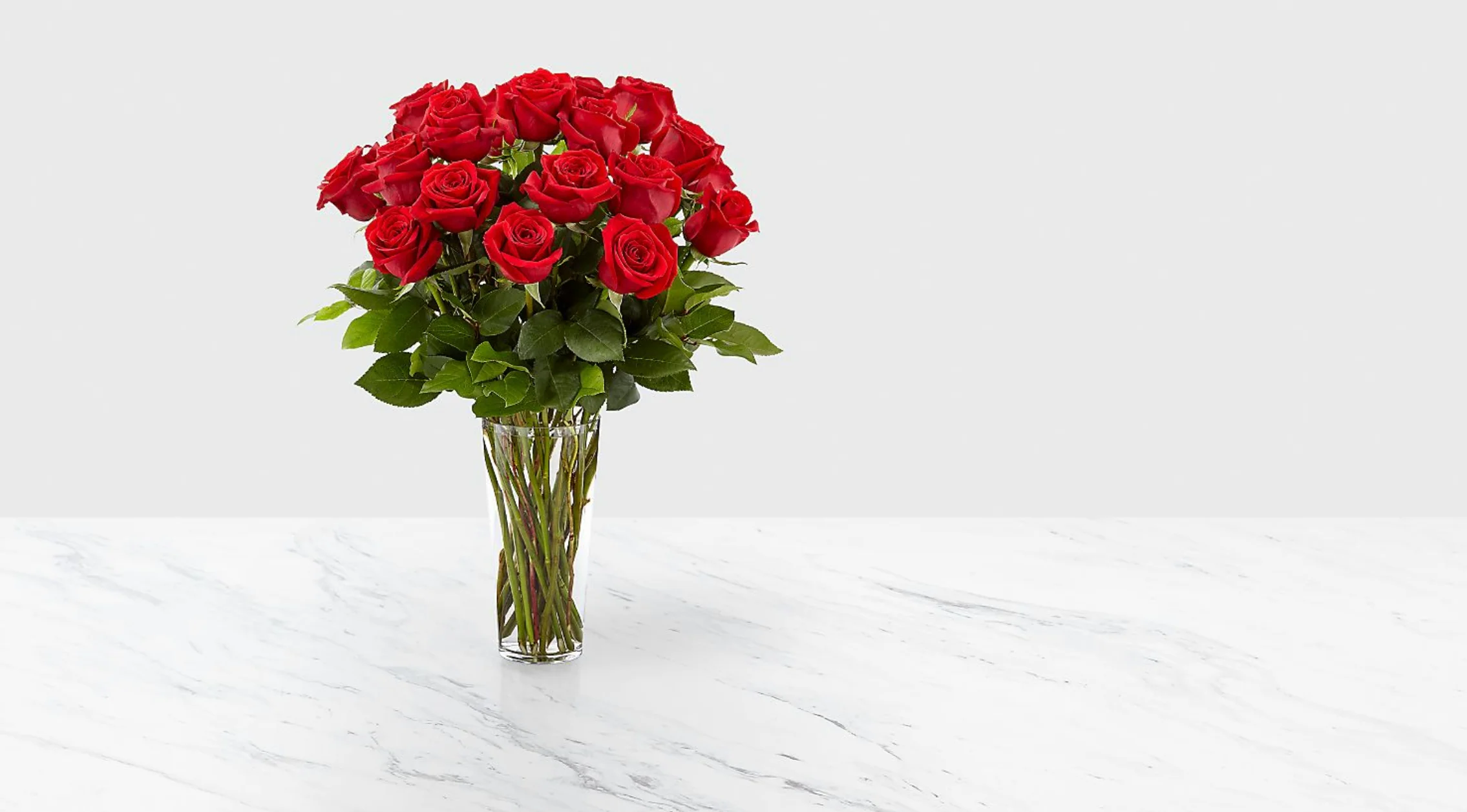Kenyan Red Preserved Roses - Image 8