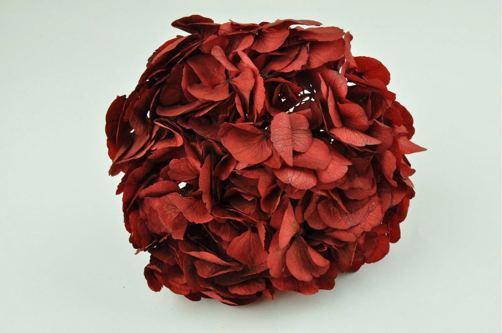 Red Hydrangea Bouquets - Image 3