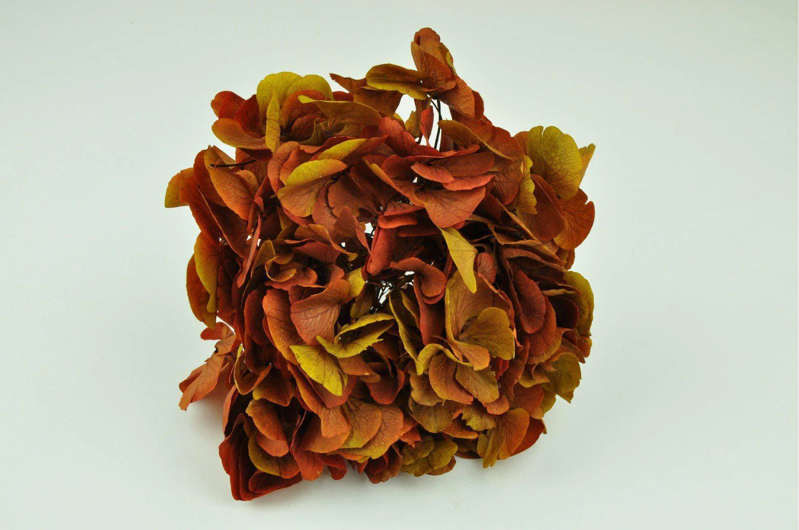 Red Safran Hydrangea Bouquets - Image 3