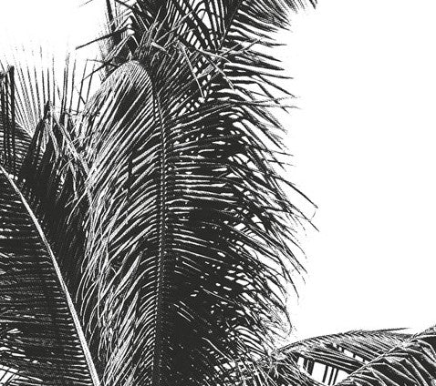 Retro Palm Mural Wallpaper - Image 5