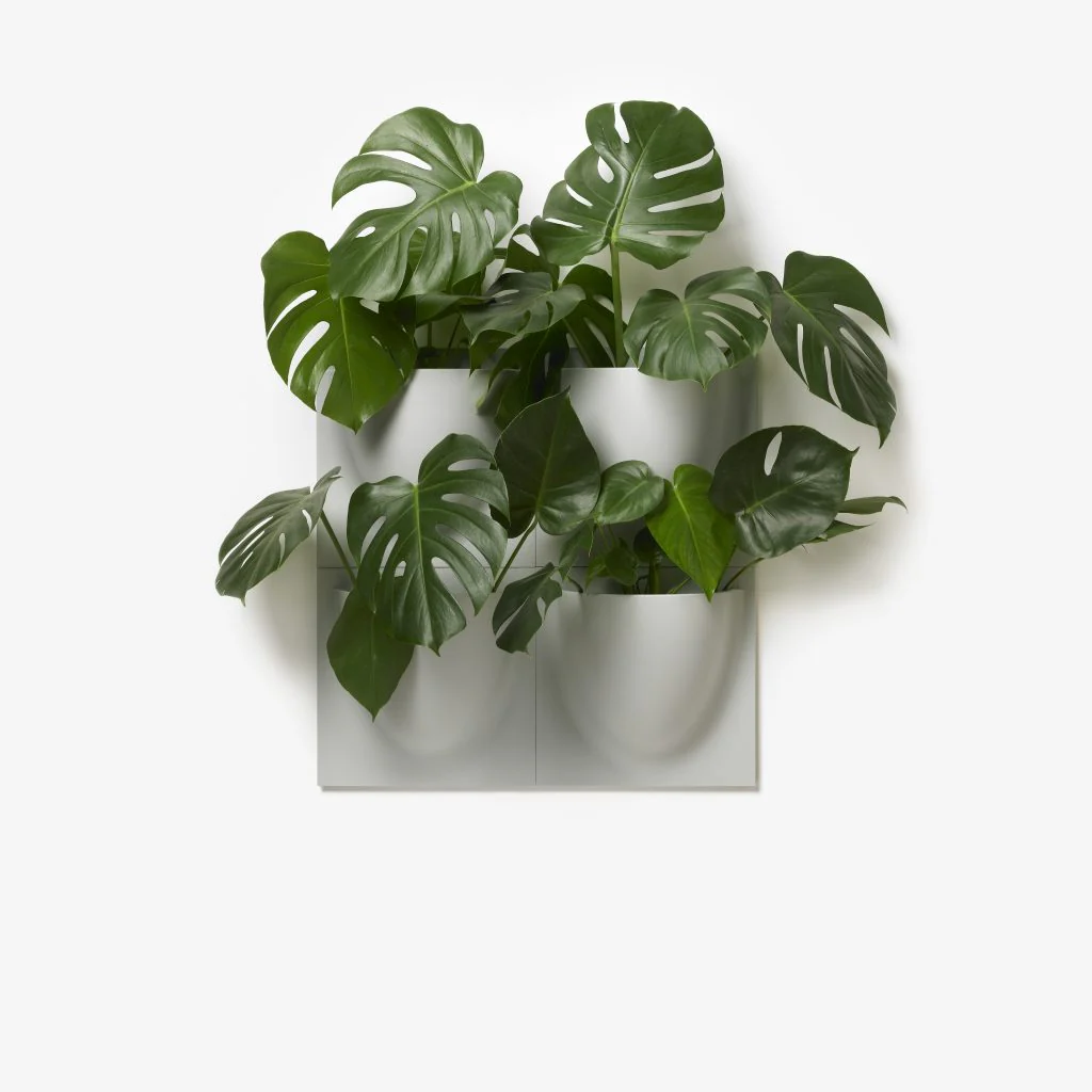 Royal Blue VertiPlant Bio Wall Container - Image 2