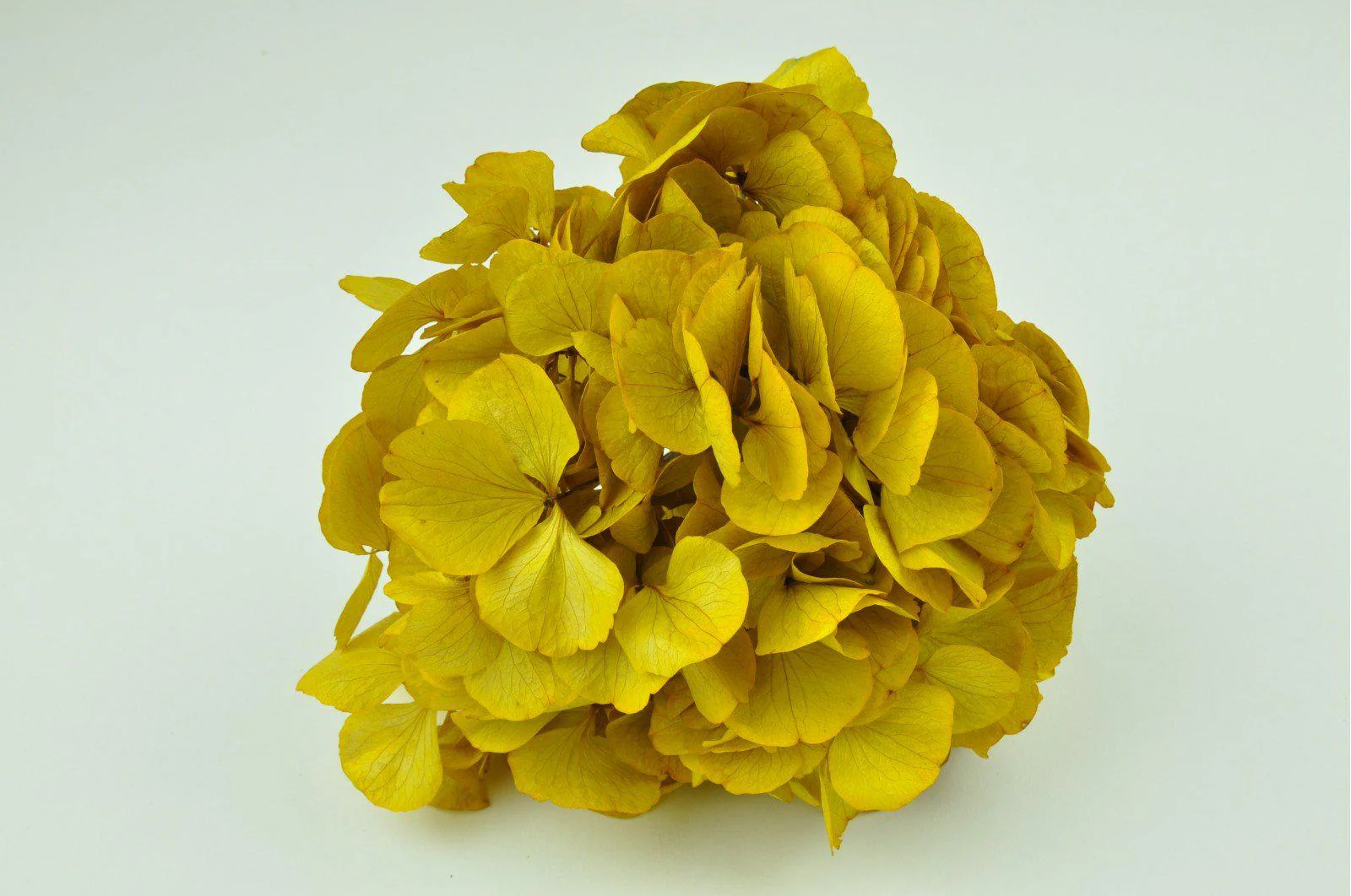 Safran Hydrangea Bouquets - Image 3