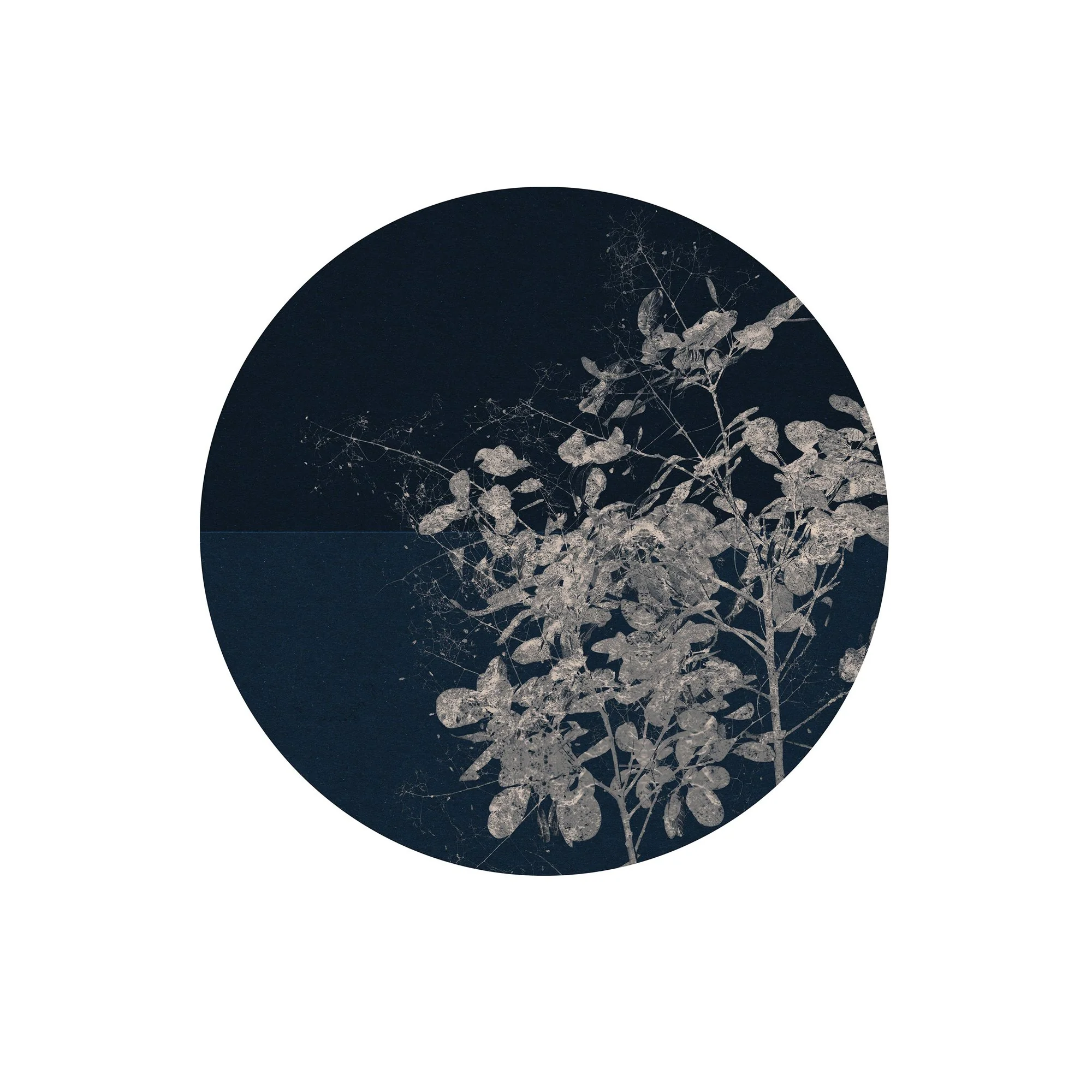 Branch Circle Wall Art (Self-Adhesive) - Image 2