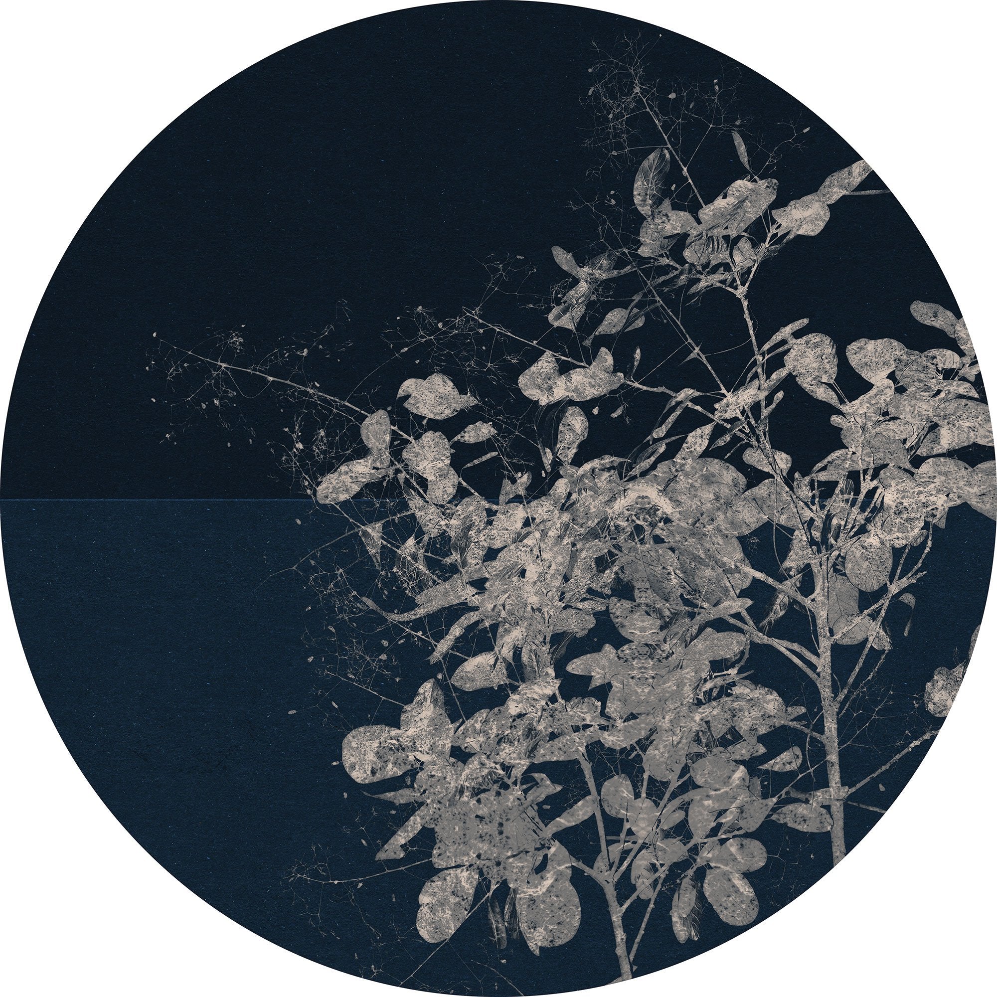 Branch Circle Wall Art (Self-Adhesive) - Image 3