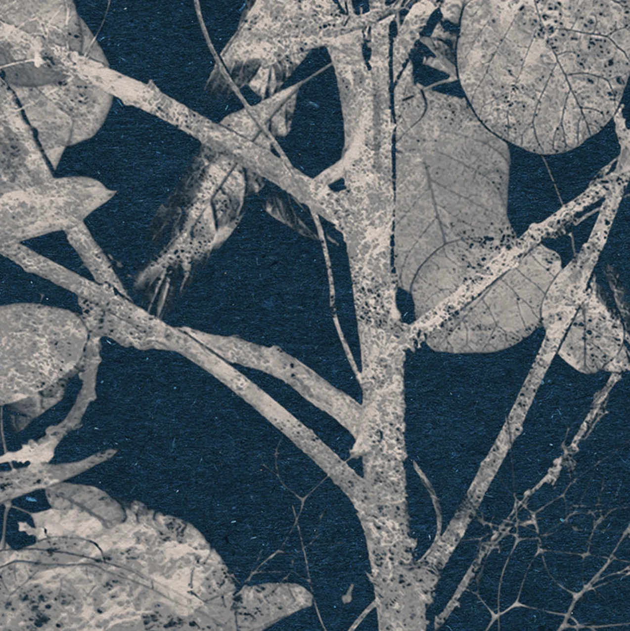 Branch Circle Wall Art (Self-Adhesive) - Image 4