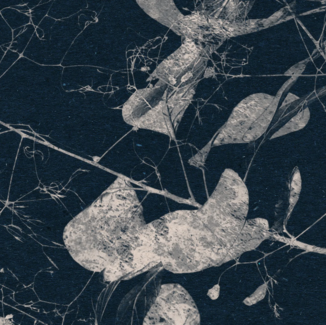 Branch Circle Wall Art (Self-Adhesive) - Image 5