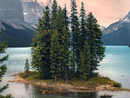 Spirit Island Mural Wallpaper - Image 5
