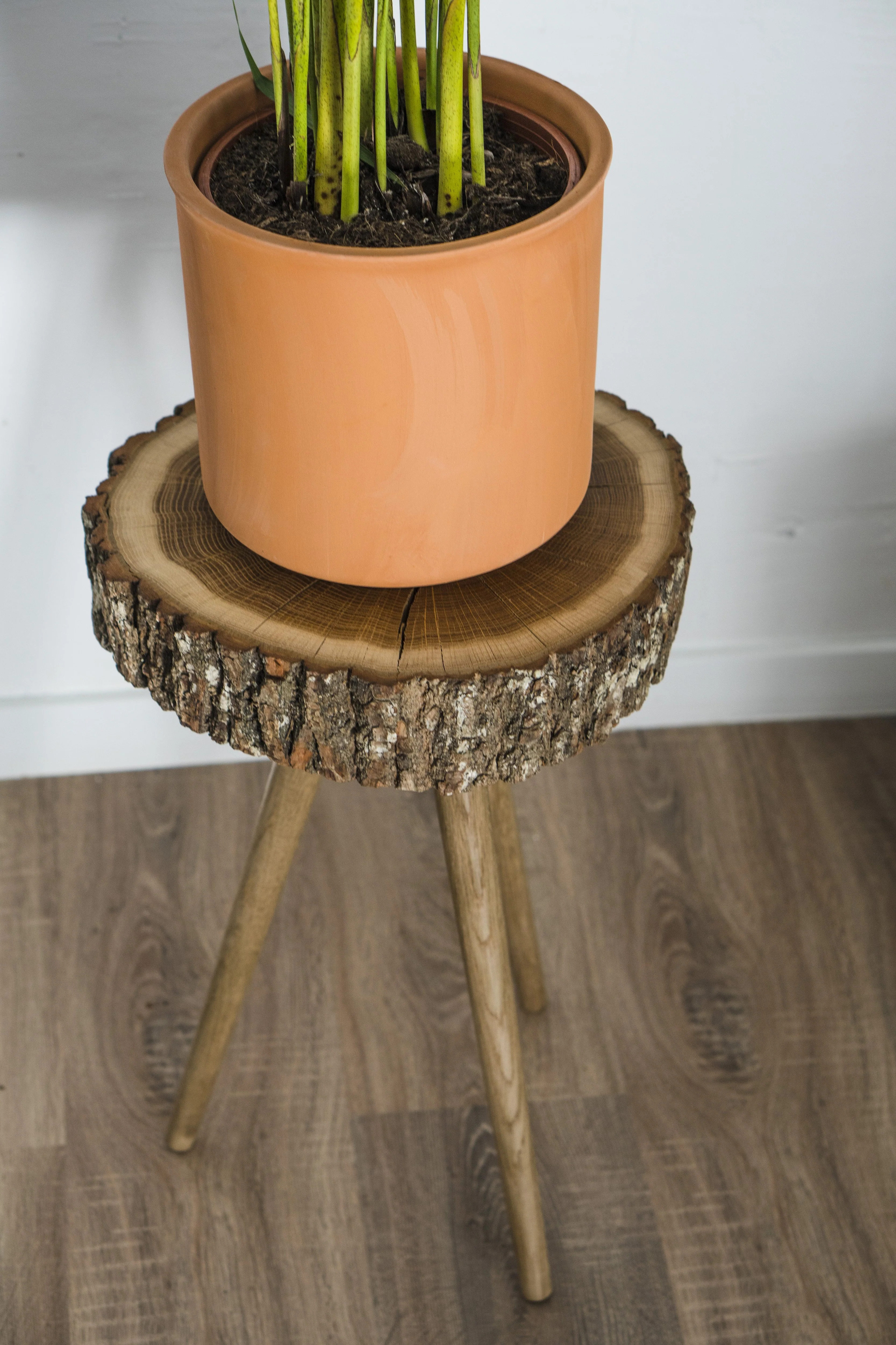 Stala Oak Slice Side Table - Image 12