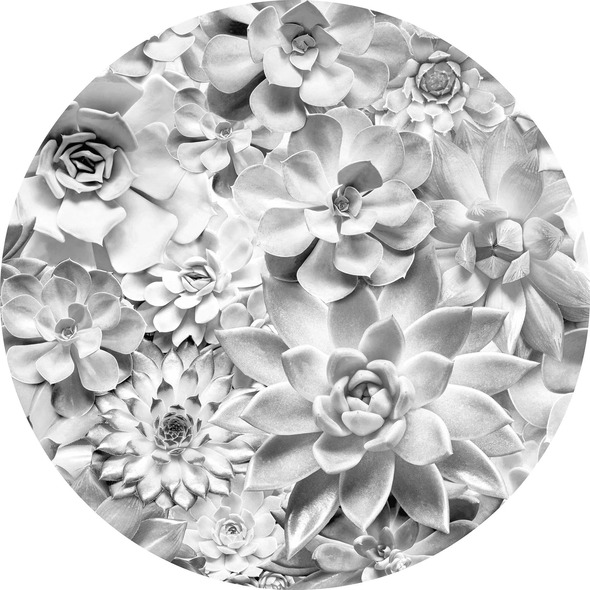 Succulents Black & White Circle Wall Art (Self-Adhesive) - Image 3
