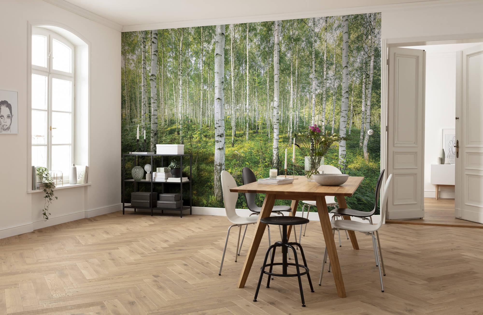 Sunny Day Mural Wallpaper