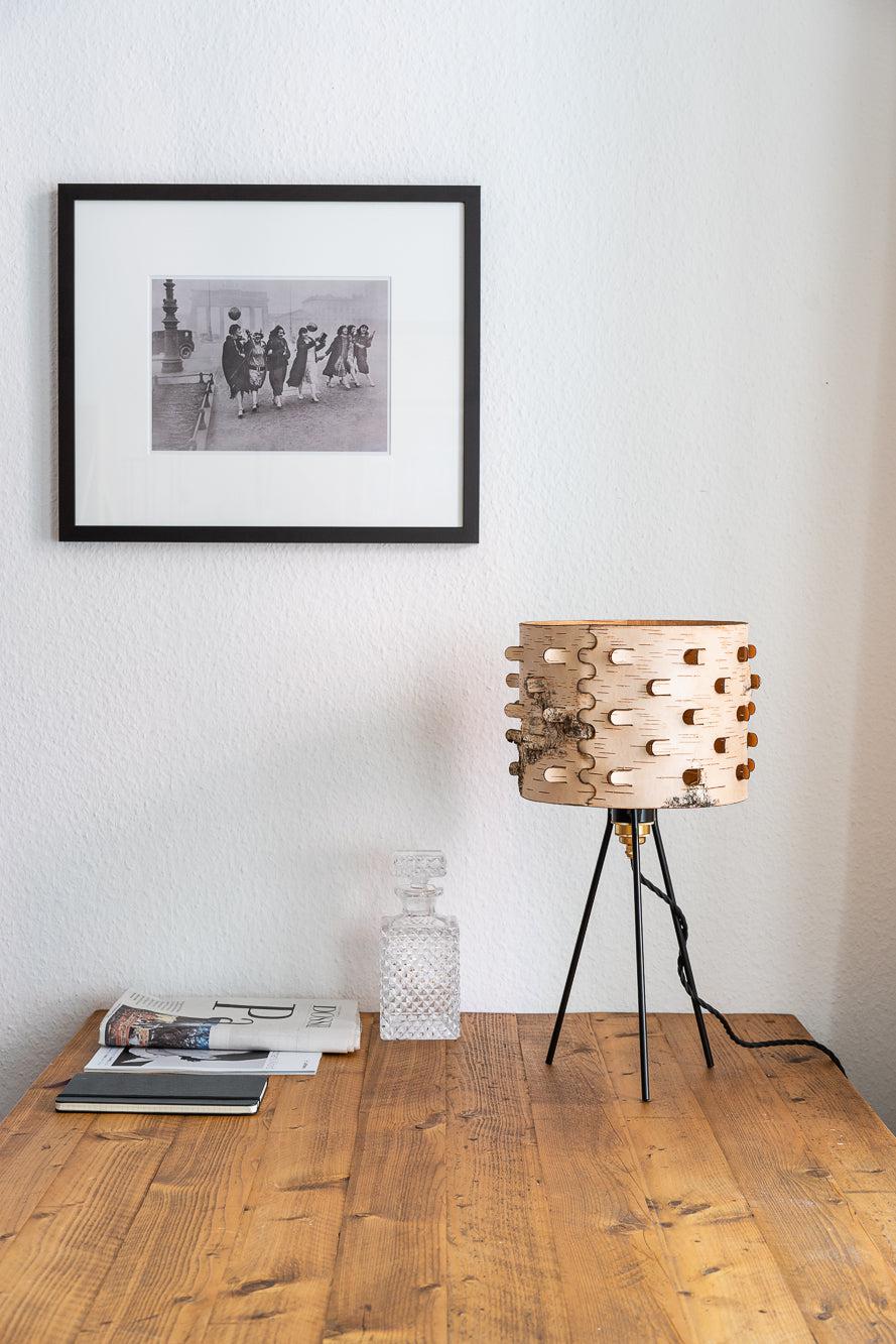 Svetoch Birch Bark Table Lamp - Image 10