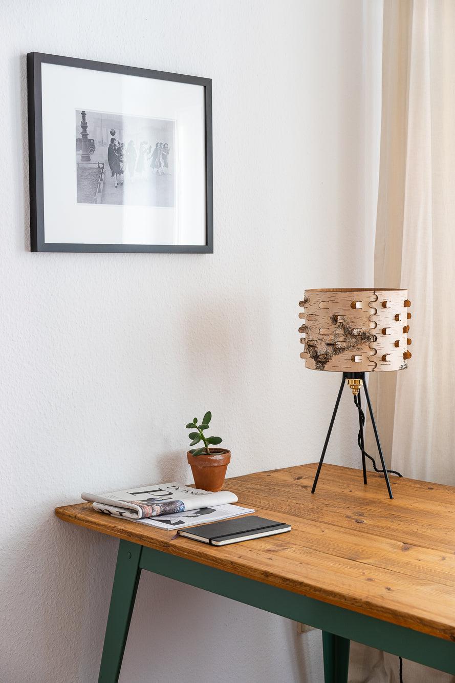 Svetoch Birch Bark Table Lamp - Image 11