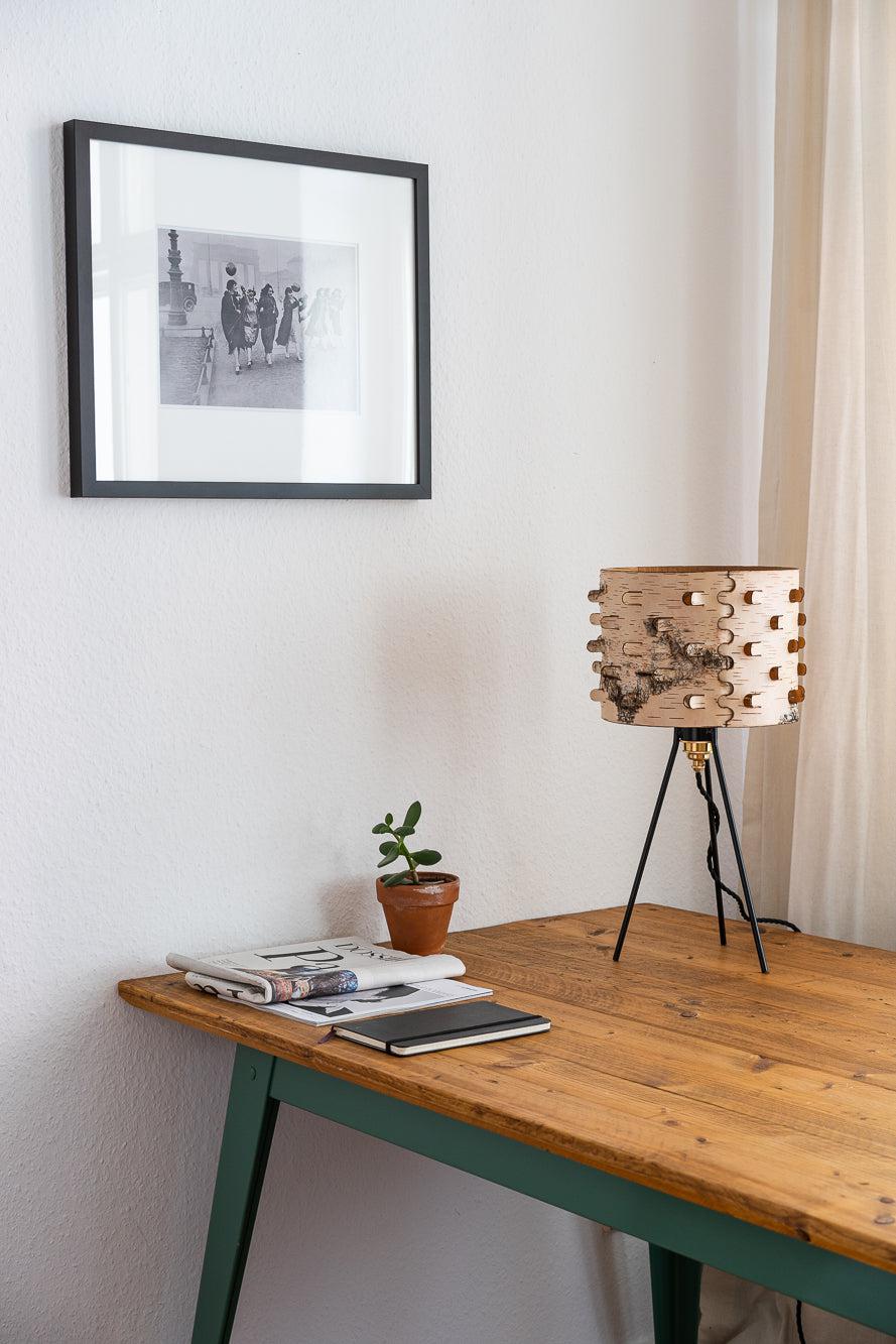 Svetoch Birch Bark Table Lamp - Image 12