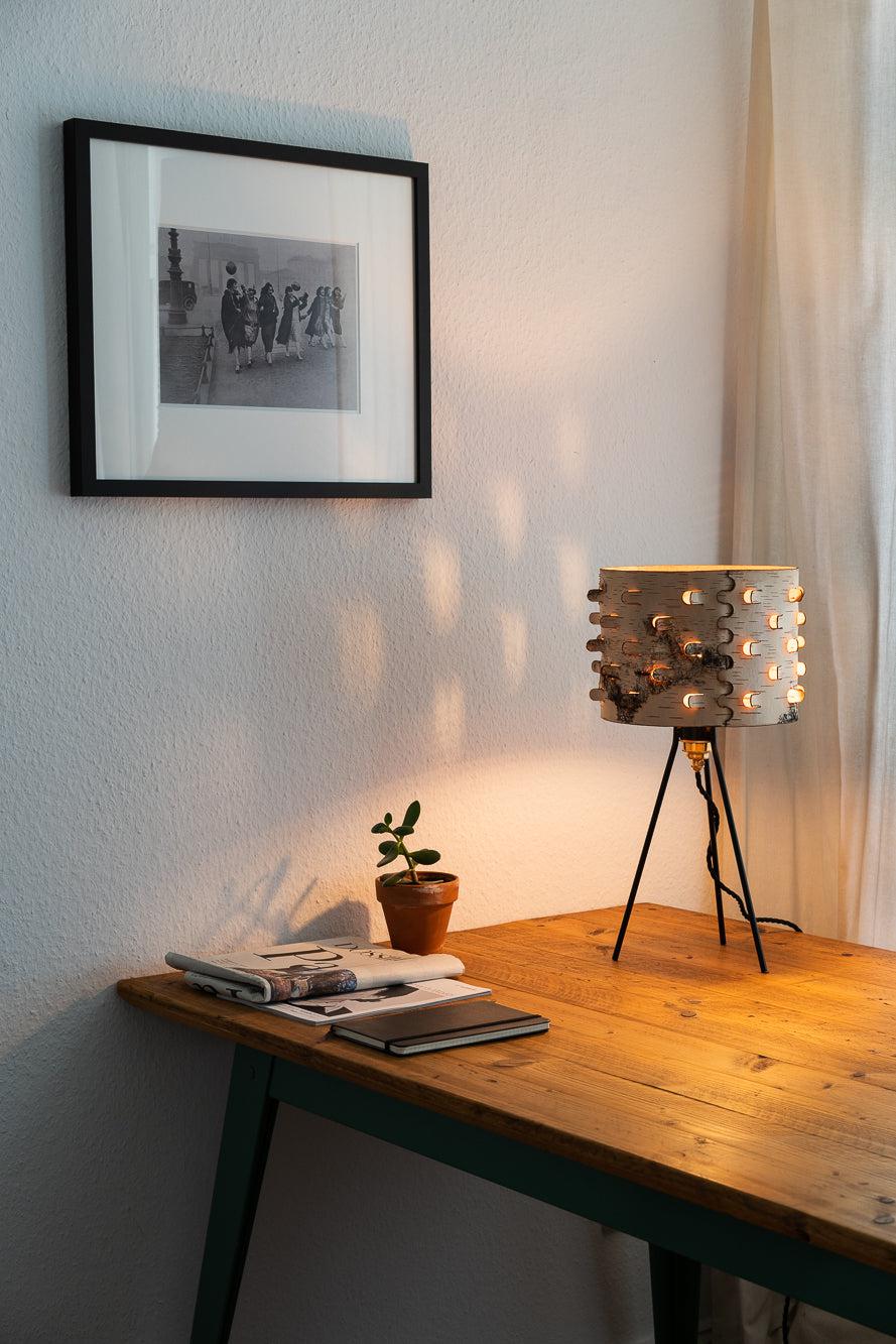 Svetoch Birch Bark Table Lamp - Image 13