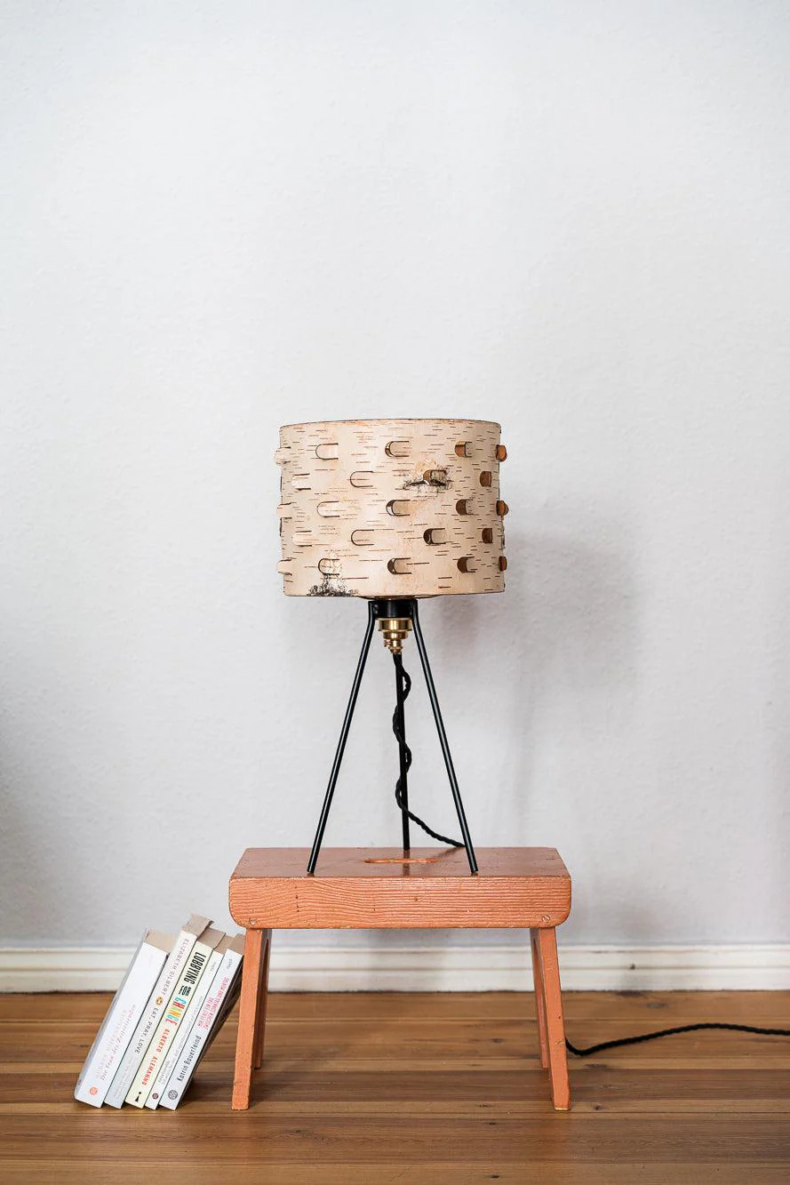 Svetoch Birch Bark Table Lamp - Image 8