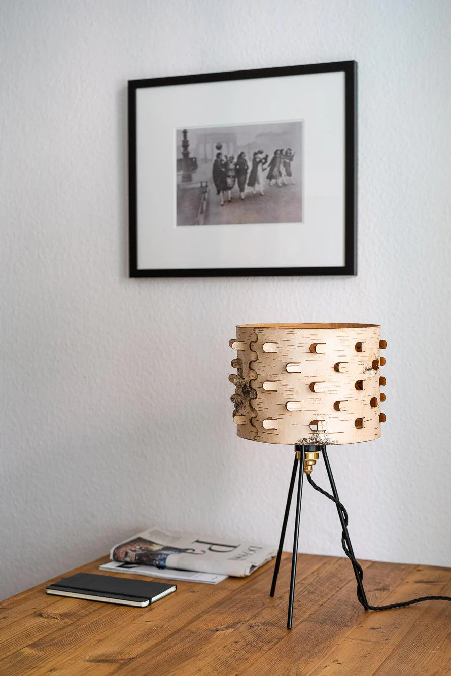 Svetoch Birch Bark Table Lamp - Image 9