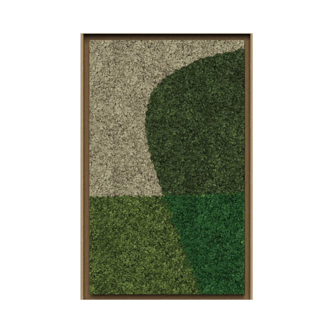 Synergy Framed Moss Art (Series B) - Image 12