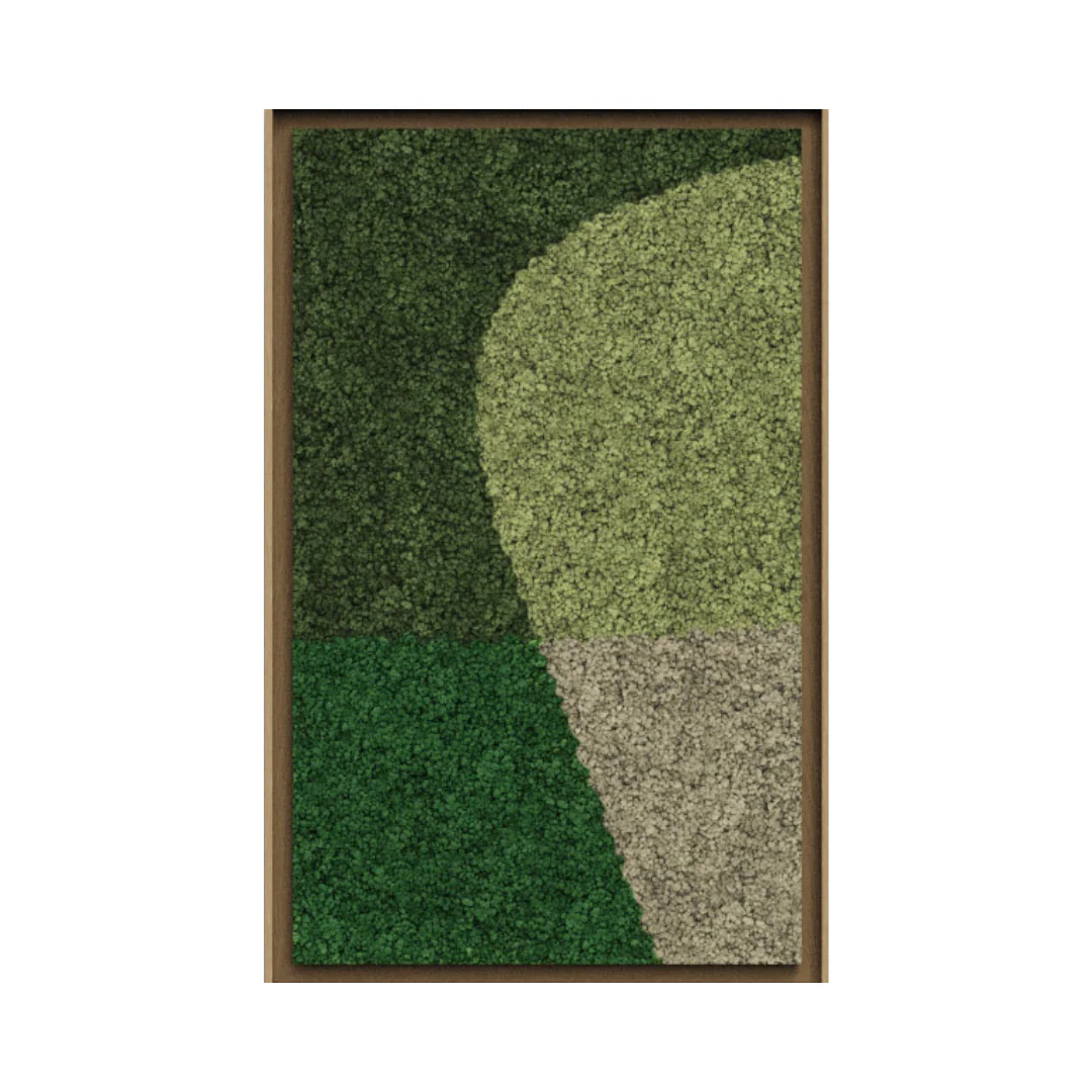Synergy Framed Moss Art (Series B) - Image 13