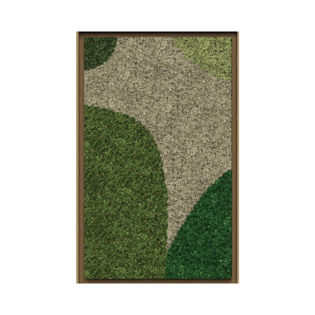 Synergy Framed Moss Art (Series E) - Image 12