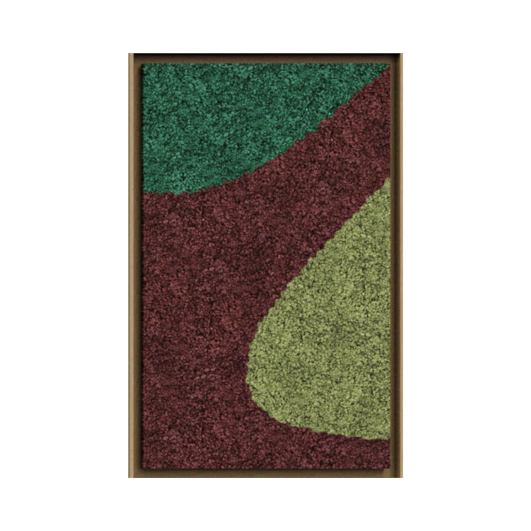 Synergy Framed Moss Art (Series F) - Image 14