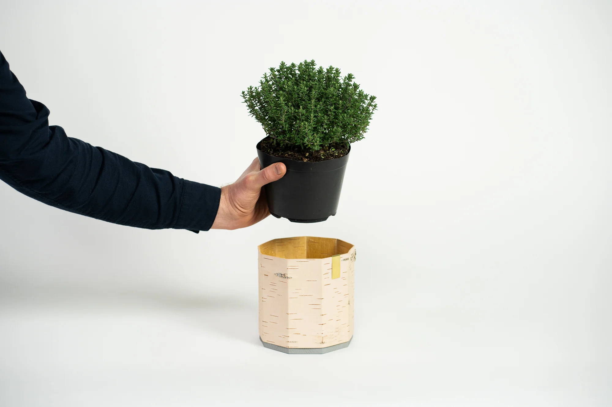 Tara Kesk Birch Bark Planters - Image 14