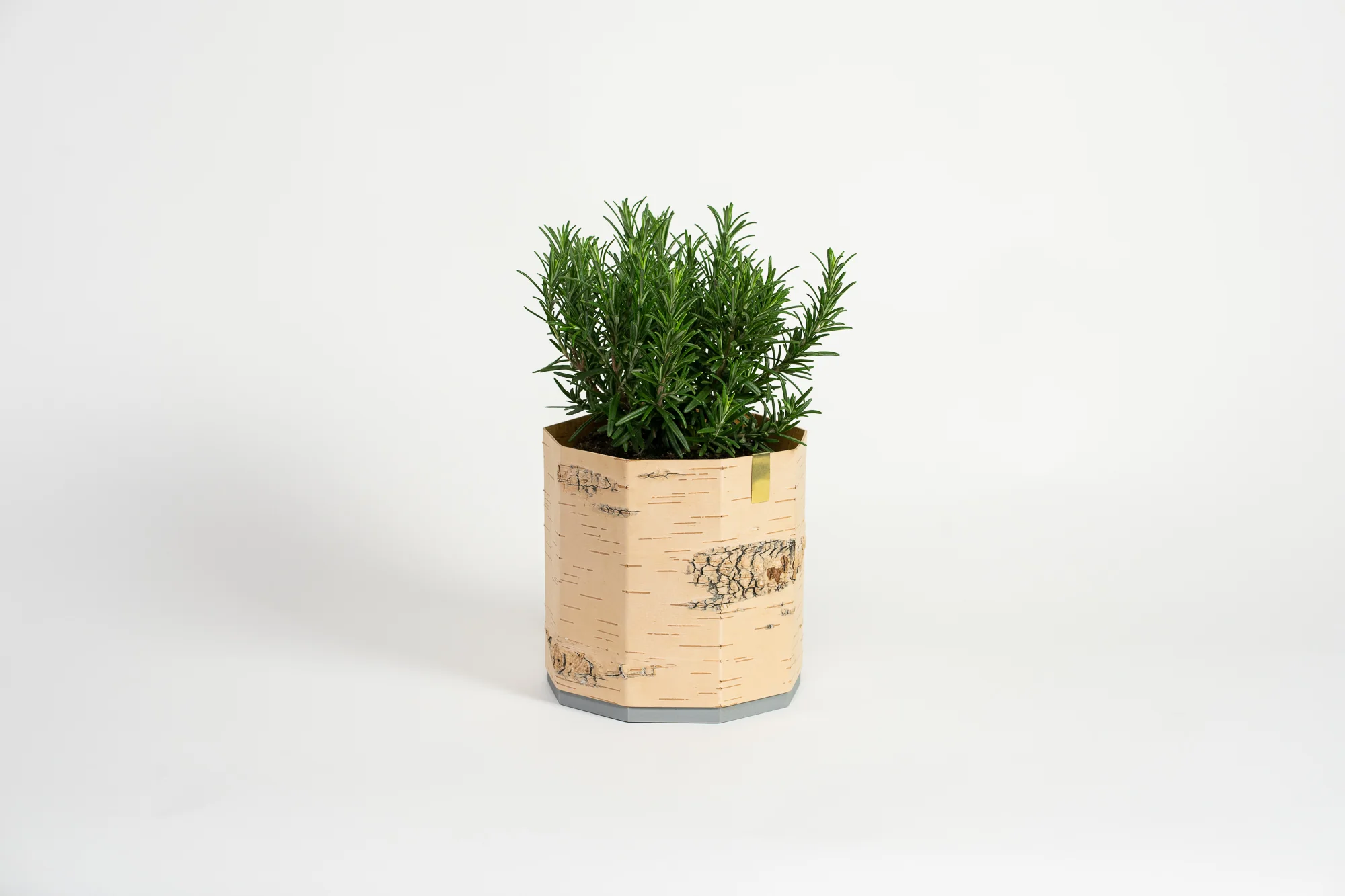 Tara Kesk Birch Bark Planters - Image 6