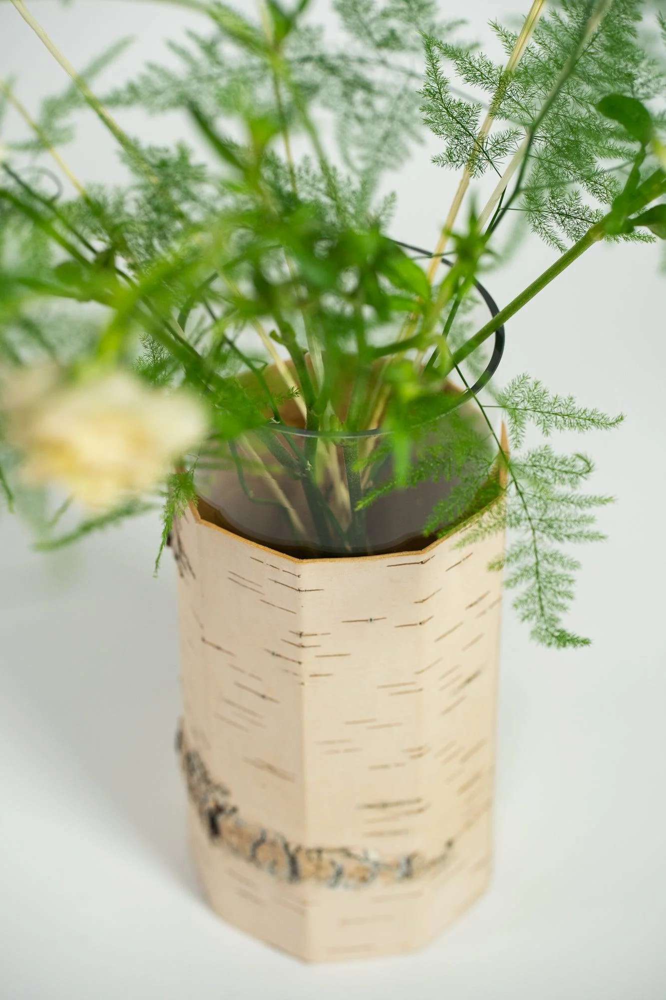 Tara Pikk Birch Bark Vases - Image 12