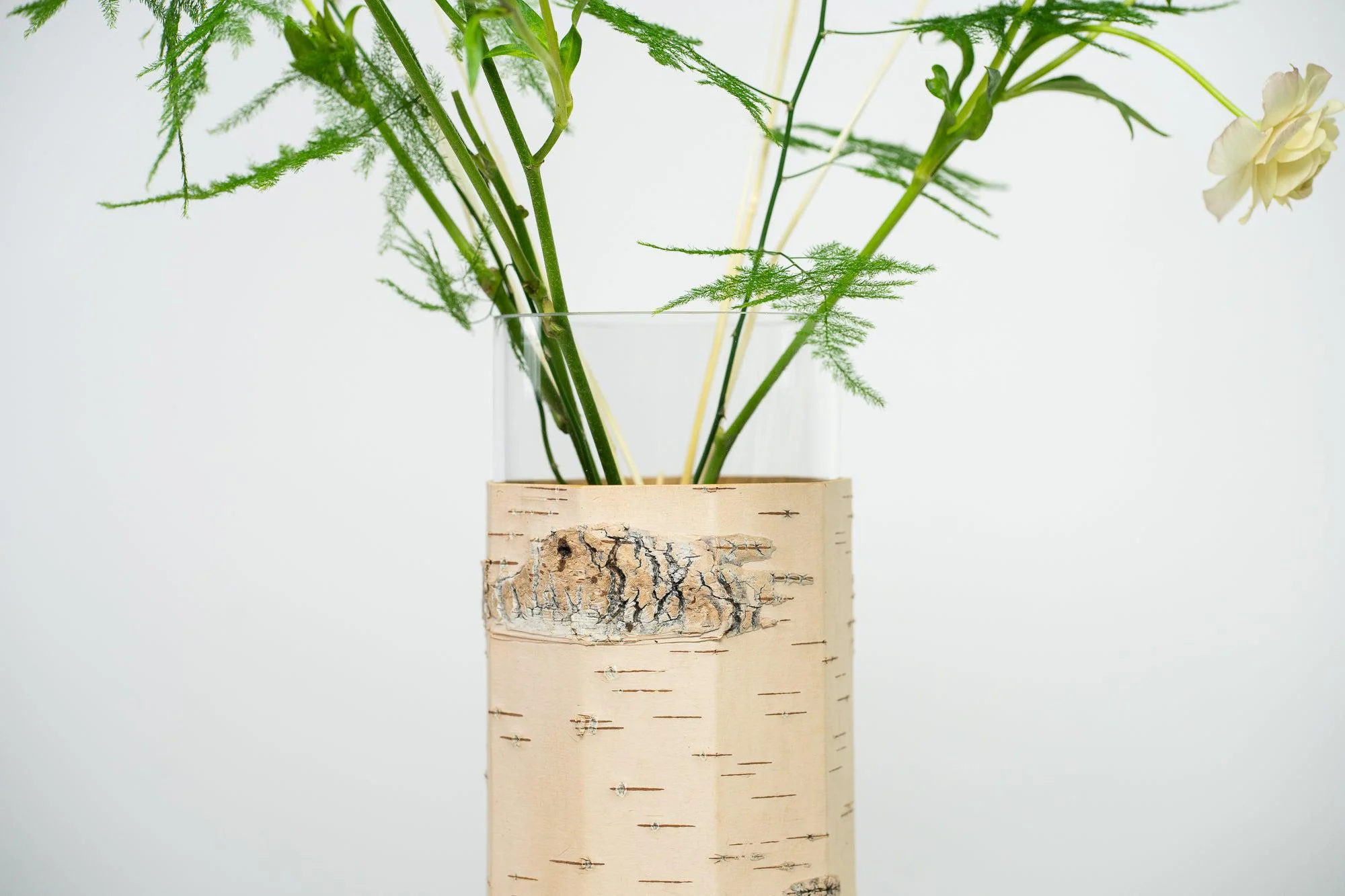 Tara Pikk Birch Bark Vases - Image 13