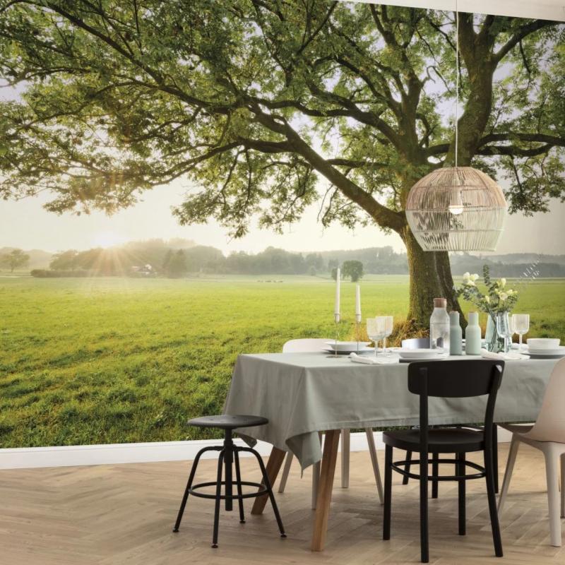 The Magic Tree Mural Wallpaper - Image 3