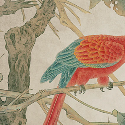Red Guacamaya Mural Wallpaper - Image 6