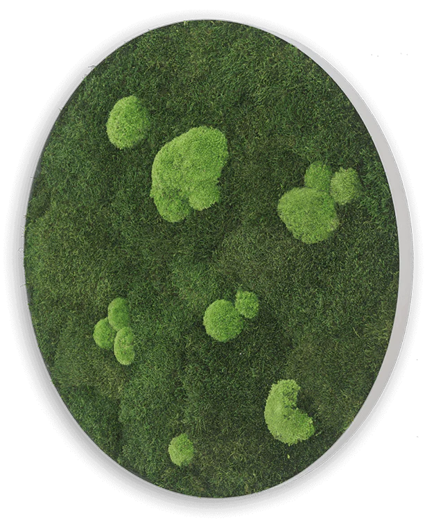 Circle Forest Bun Moss Wall Art - Image 10