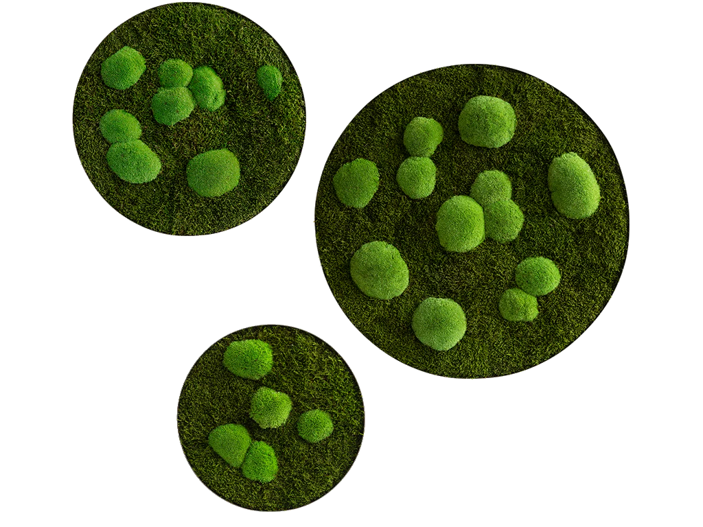 Circle Forest Bun Moss Wall Art - Image 11