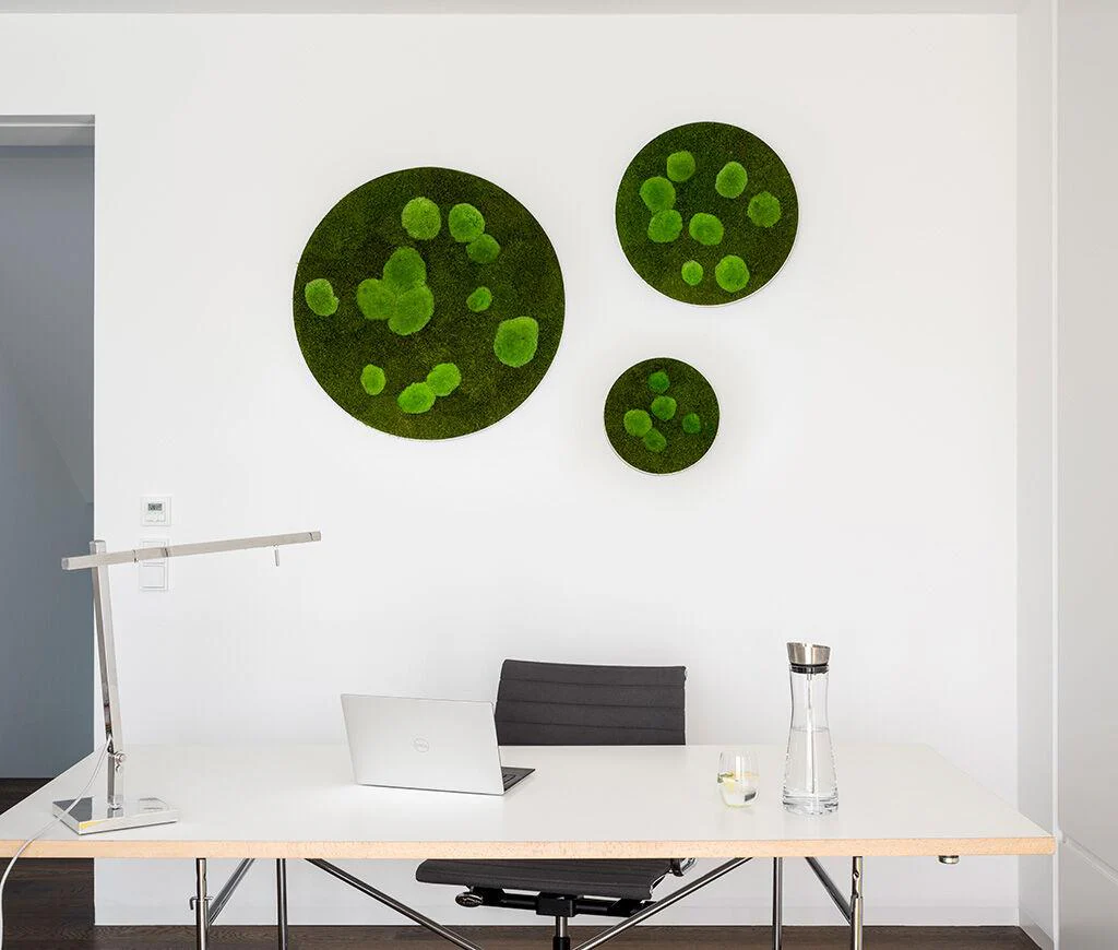 Circle Forest Bun Moss Wall Art - Image 12