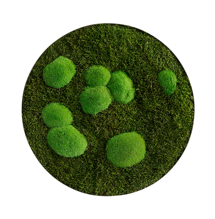 Circle Forest Bun Moss Wall Art - Image 16
