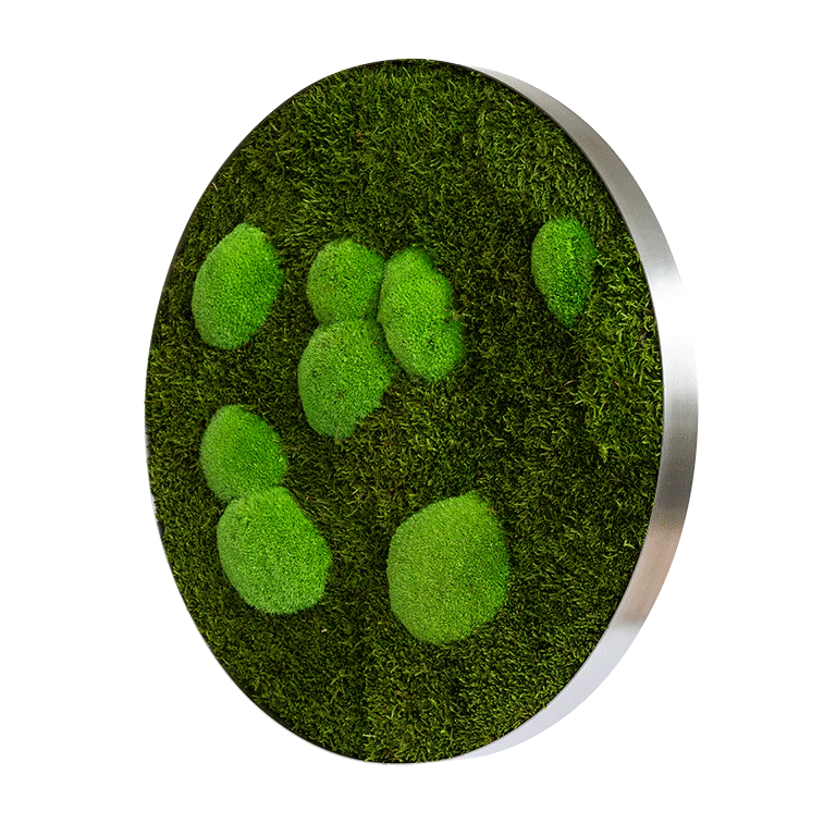 Circle Forest Bun Moss Wall Art - Image 17