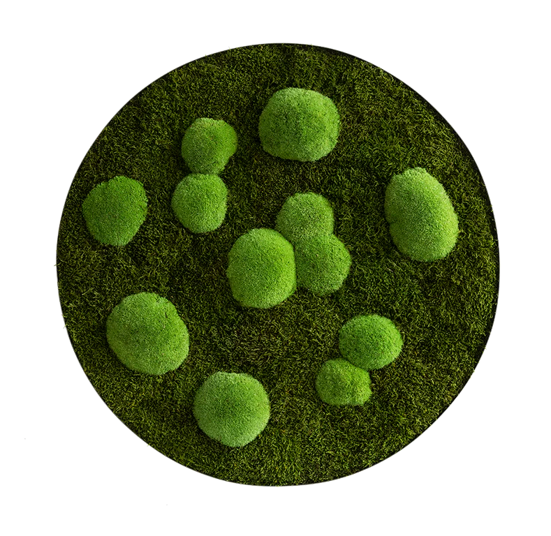 Circle Forest Bun Moss Wall Art - Image 18