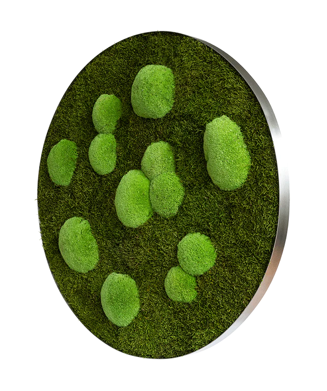Circle Forest Bun Moss Wall Art - Image 19