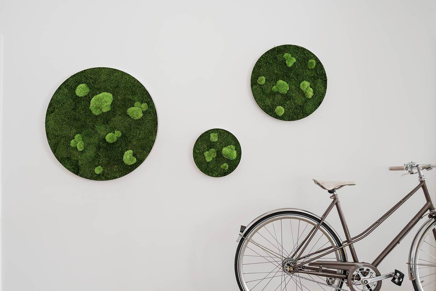 Circle Forest Bun Moss Wall Art - Image 7