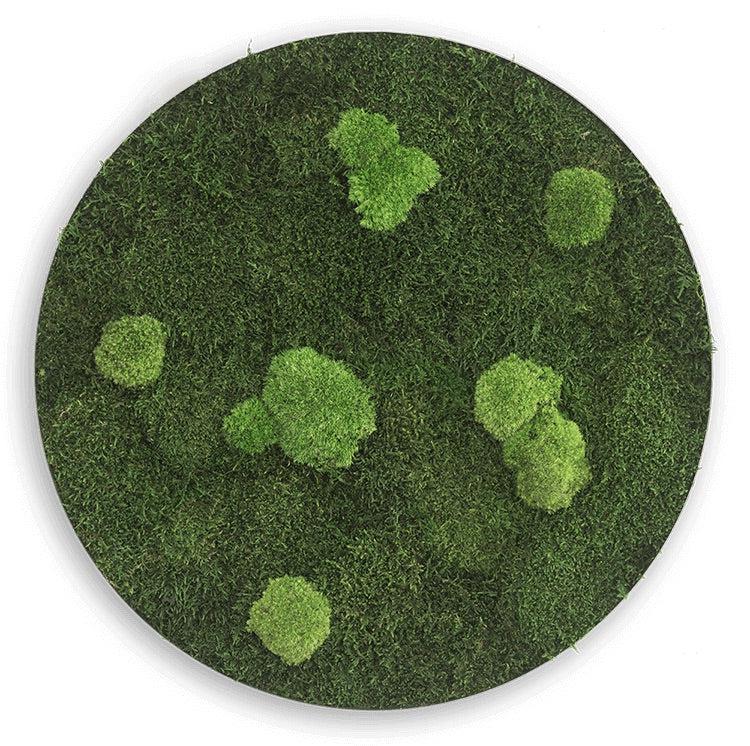 Circle Forest Bun Moss Wall Art - Image 9