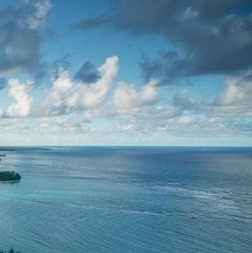Tropical Paradise Mural Wallpaper - Image 6