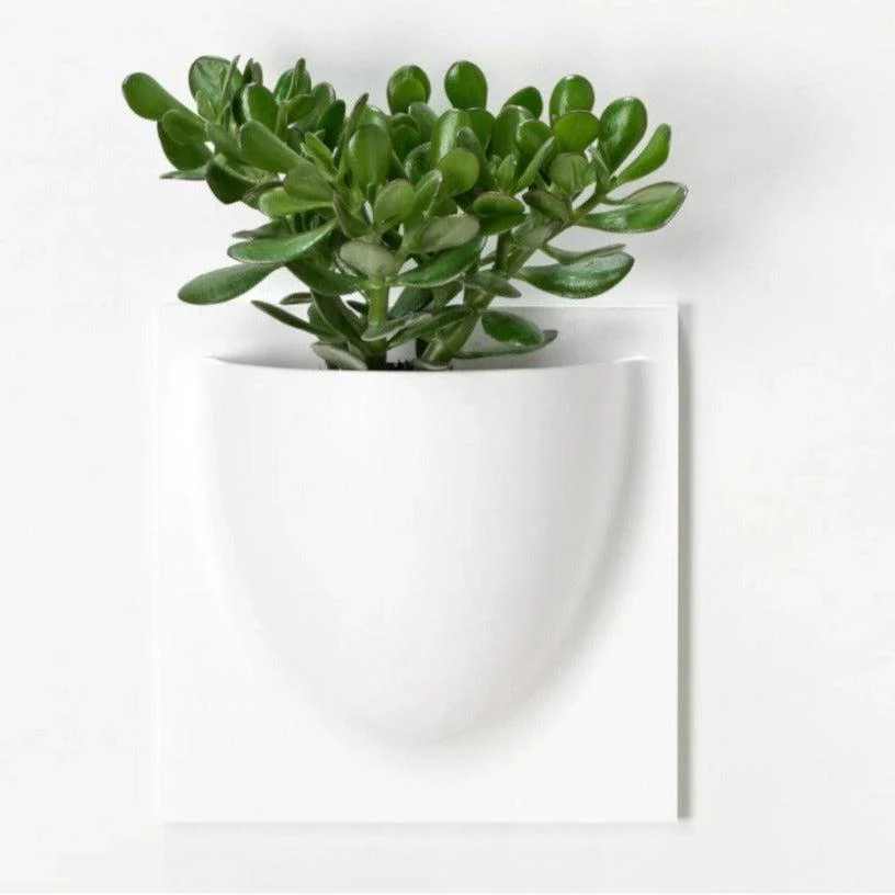 White VertiPlant Bio Wall Container - Image 4