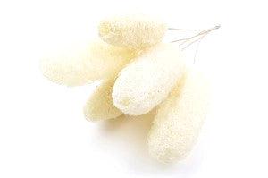 Italian White Luffa Bouquet - Image 3