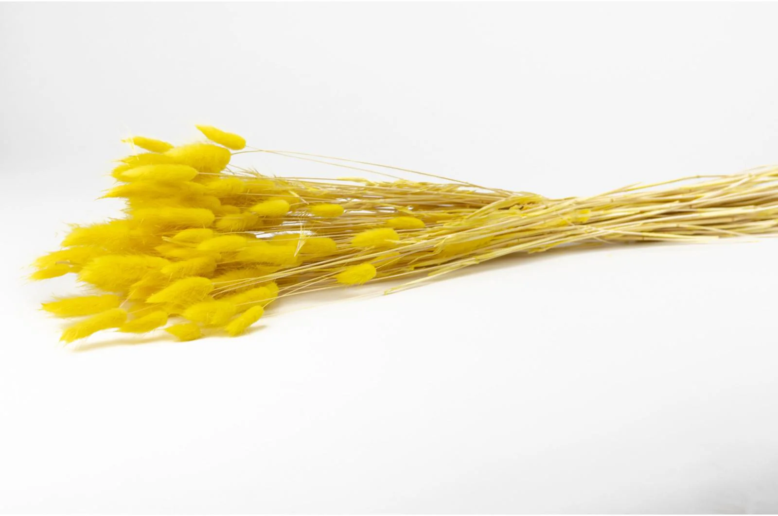 Italian Yellow Lagurus Bouquet - Image 4