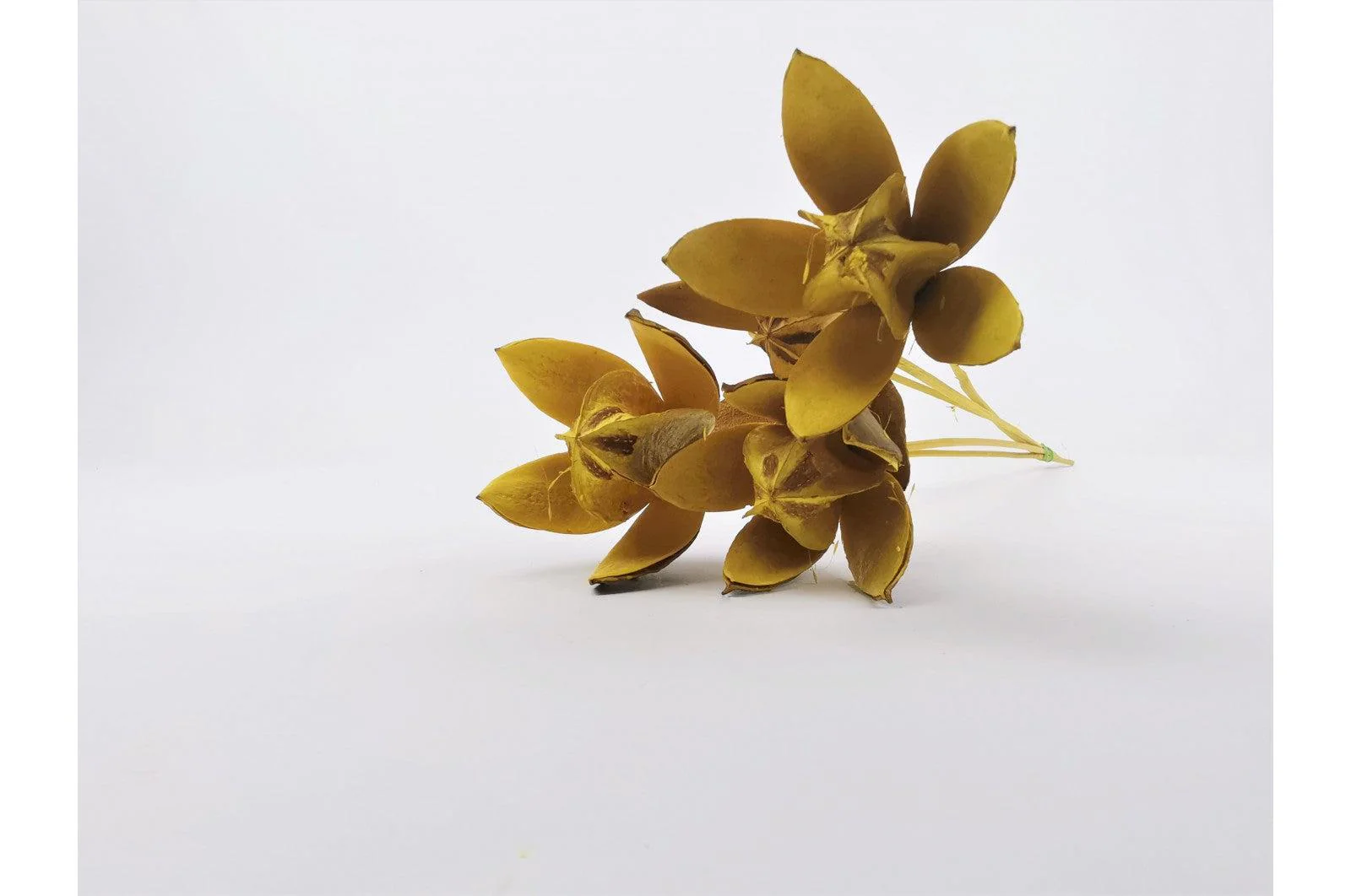 Italian Yellow Lily Flower Bouquet - Image 2