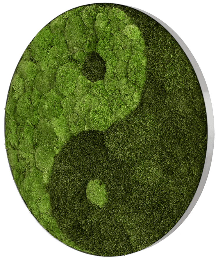 Yin Yang Moss Wall Art - Image 4